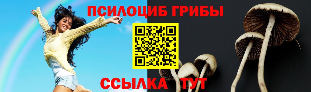 Железногорск  Псилоцибиновые грибы ЛСД  Галлюциногенные грибы Psilocybine cubensis  Вход с VPN 